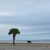 beachthrifter